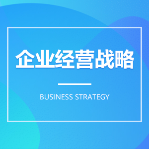 企業(yè)經營戰(zhàn)略